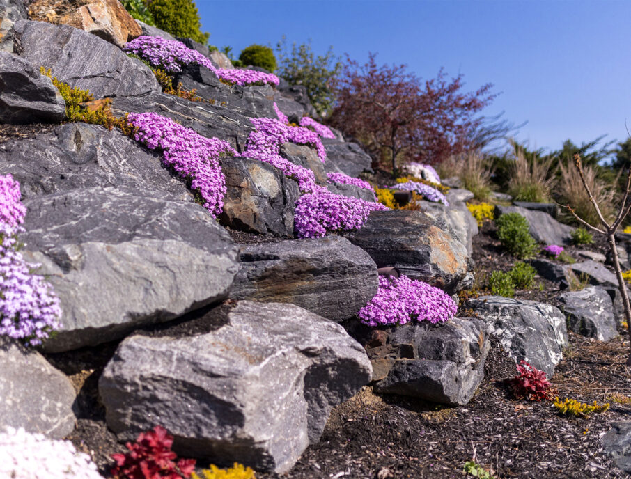 Rademann Stone Boulders